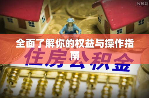 台儿庄全面了解你的权益与操作指南