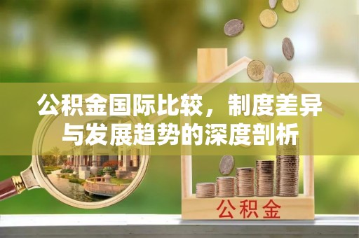 台儿庄公积金国际比较，制度差异与发展趋势的深度剖析