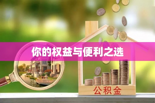 台儿庄你的权益与便利之选