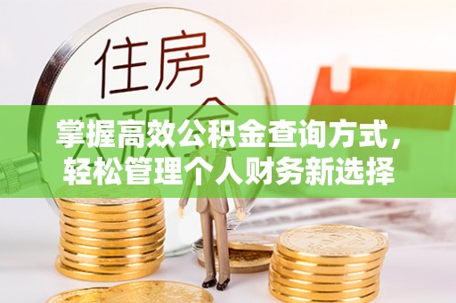 台儿庄掌握高效公积金查询方式，轻松管理个人财务新选择