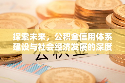 台儿庄探索未来，公积金信用体系建设与社会经济发展的深度融合