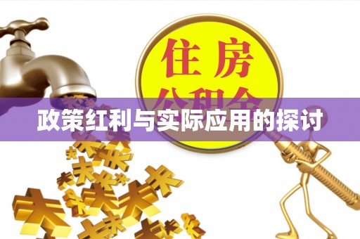 台儿庄政策红利与实际应用的探讨