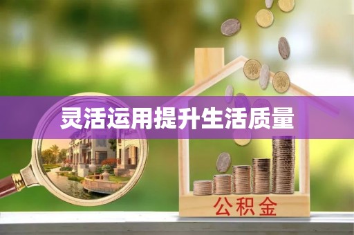 台儿庄灵活运用提升生活质量
