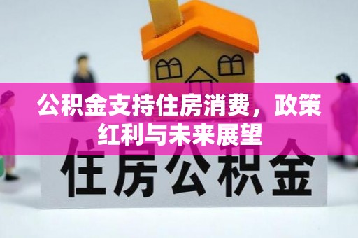台儿庄公积金支持住房消费，政策红利与未来展望