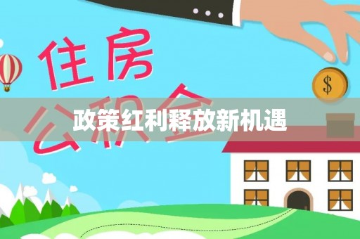 台儿庄政策红利释放新机遇
