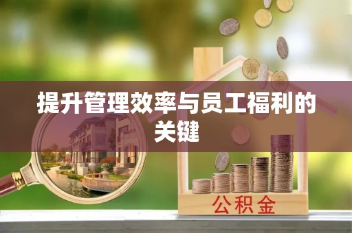 台儿庄提升管理效率与员工福利的关键