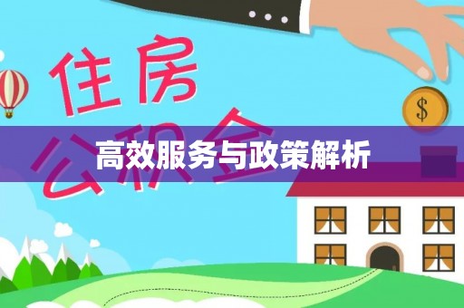 台儿庄高效服务与政策解析