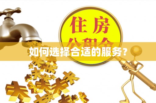 台儿庄如何选择合适的服务？