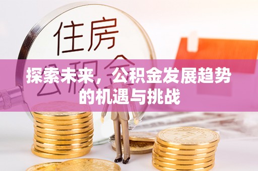 台儿庄探索未来，公积金发展趋势的机遇与挑战