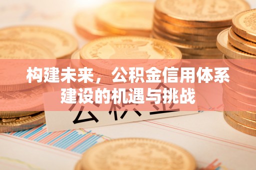 台儿庄构建未来，公积金信用体系建设的机遇与挑战