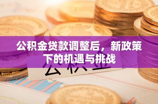 台儿庄公积金贷款调整后，新政策下的机遇与挑战