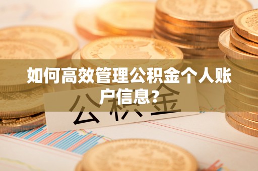 台儿庄如何高效管理公积金个人账户信息？