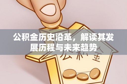 台儿庄公积金历史沿革，解读其发展历程与未来趋势