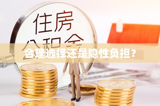 台儿庄合理选择还是隐性负担？
