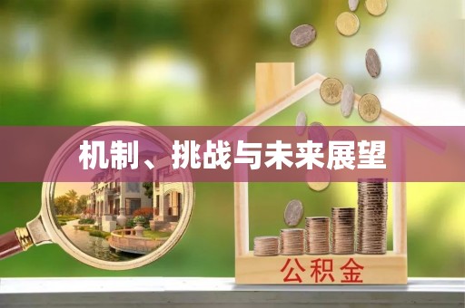 台儿庄机制、挑战与未来展望