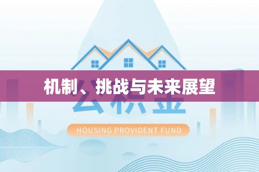 台儿庄机制、挑战与未来展望