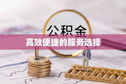 台儿庄高效便捷的服务选择