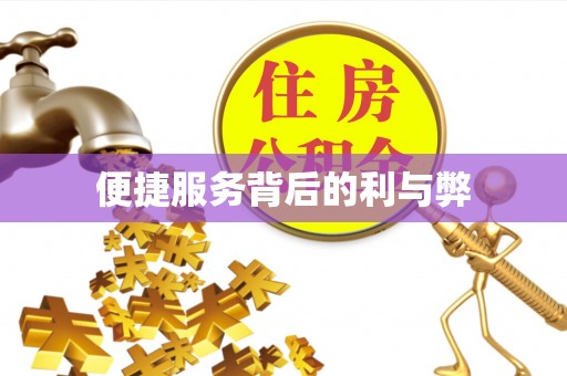 台儿庄便捷服务背后的利与弊