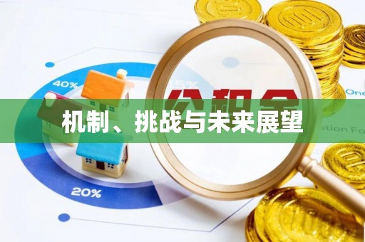台儿庄机制、挑战与未来展望
